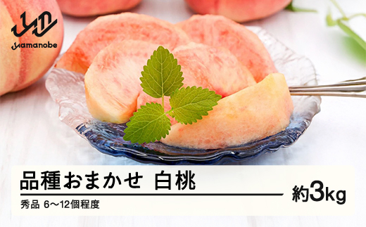 《先行予約》もも 桃 品種おまかせ 9月旬の白桃 秀品 約3kg (6～13個程度) 9月発送 山形県産 nf-mohtx3-9f