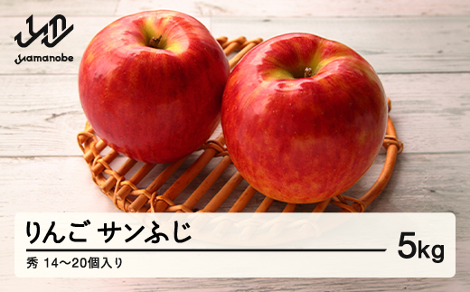 【先行予約】 山形県産 りんご サンふじ 秀 5kg (14~20個)   nf-risfs5