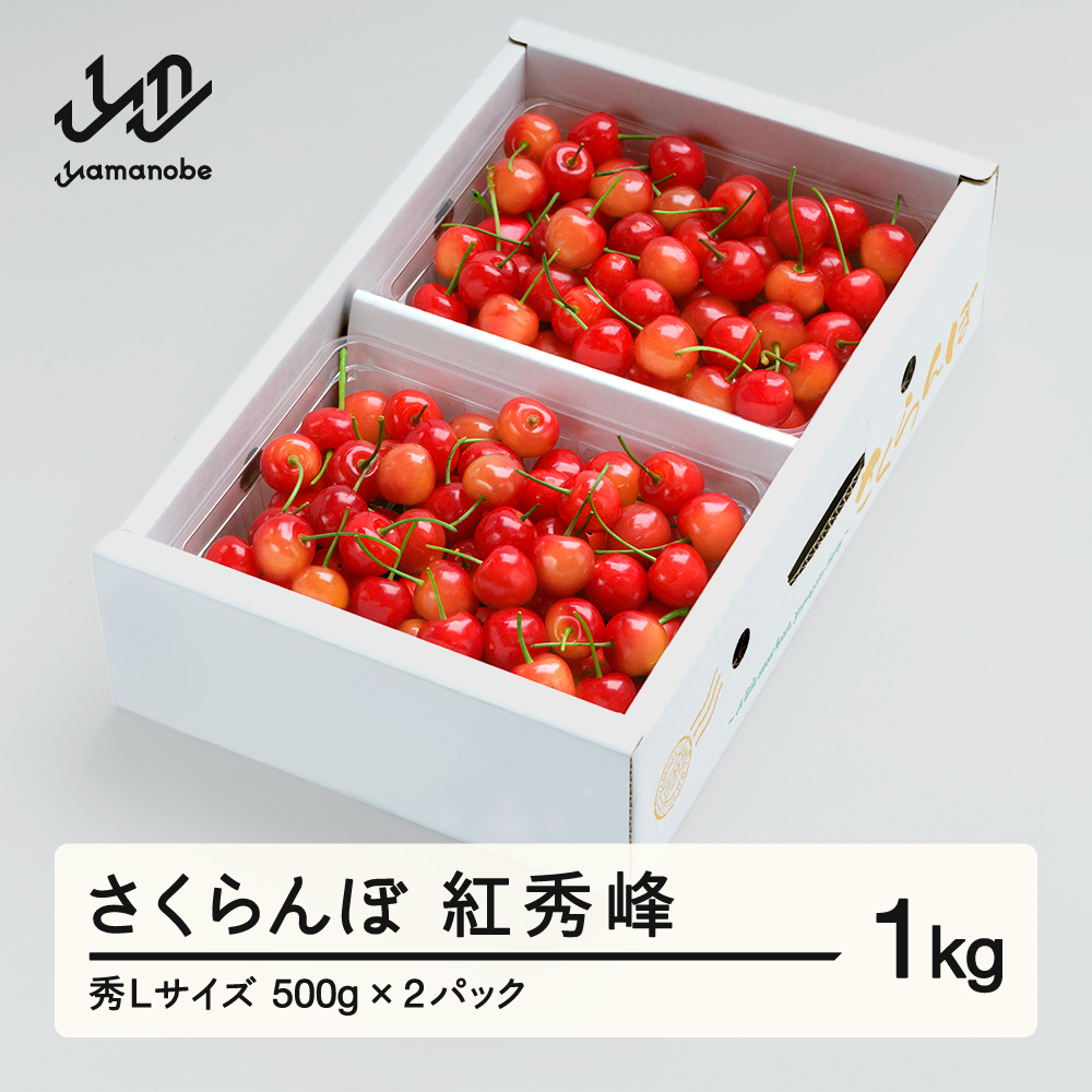 《先行予約》 さくらんぼ 紅秀峰 秀Lサイズ 1㎏ バラ詰め 化粧箱 (500gx2) 2026年産 令和8年産 山形県産 ns-bsslb1