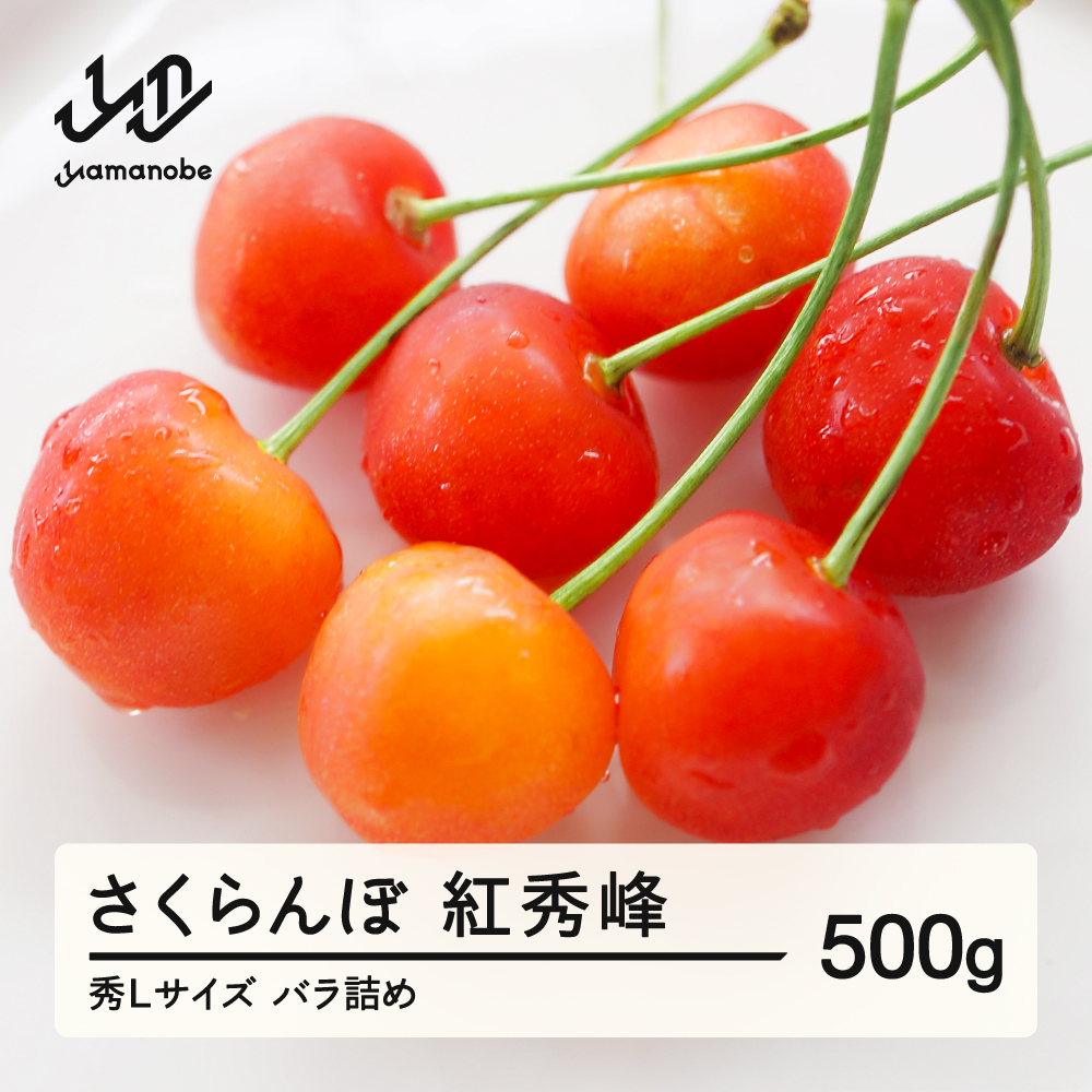 《先行予約》 さくらんぼ 紅秀峰 秀Lサイズ 500g バラ詰め 2026年産 令和8年産 山形県産 ns-bsslb500