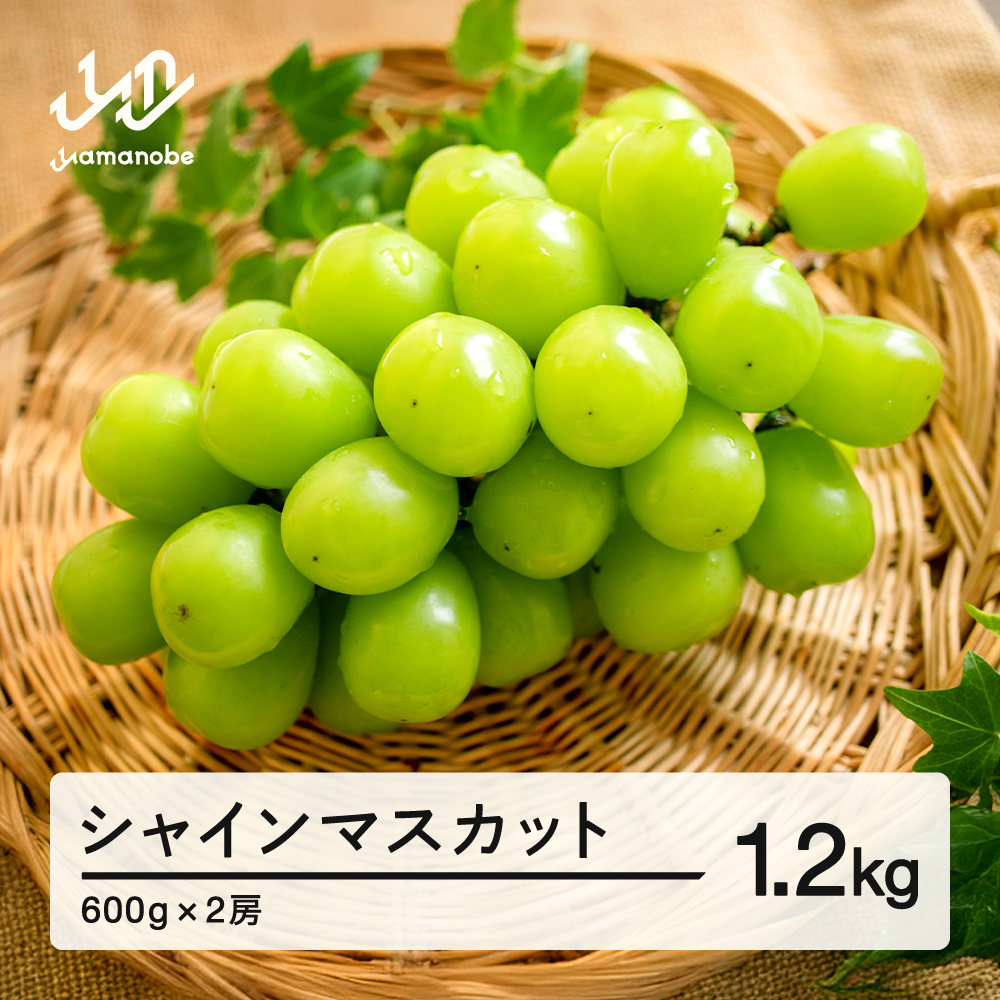 《先行予約》ぶどう シャインマスカット 秀品 2房（約1200g）令和8年産 2026年産 山形県産 果物 送料無料 ns-busmx1200 ※沖縄・離島への配送不可