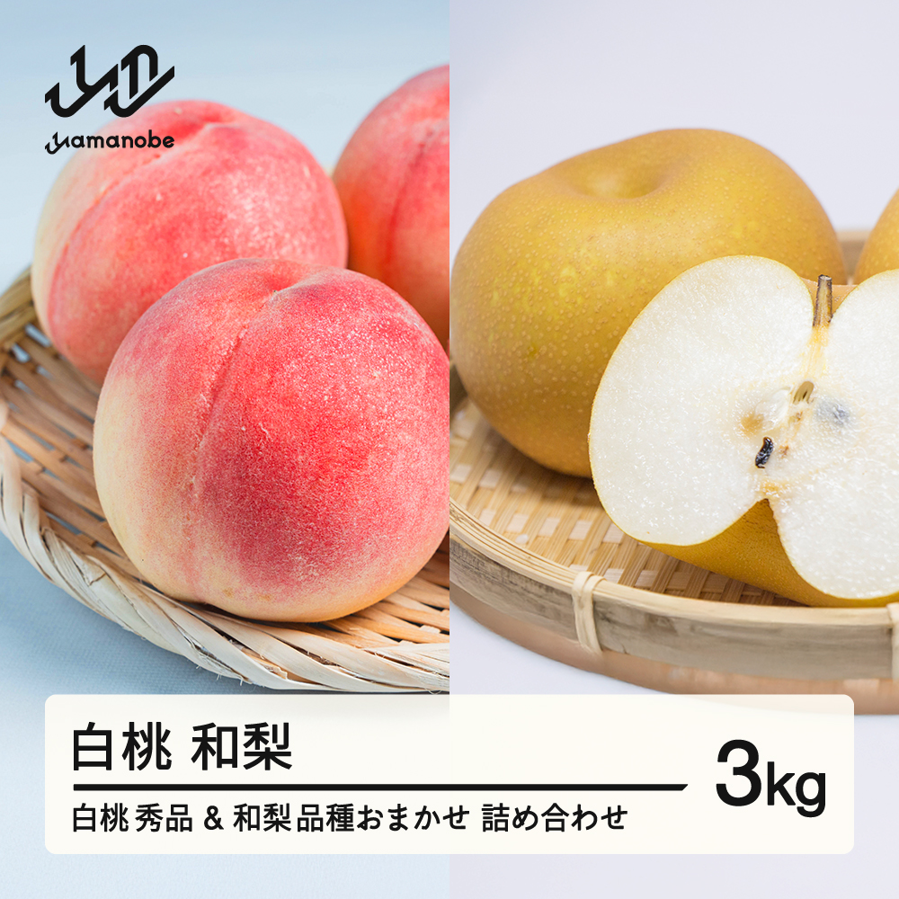 《先行予約》もも 白桃 秀品 和梨 詰め合わせ 品種おまかせ 化粧箱入り 3kg フルーツ 果物 アソート 2026年産 令和8年産 山形県産 送料無料 ns-fshnx3 ※沖縄・離島への配送不可