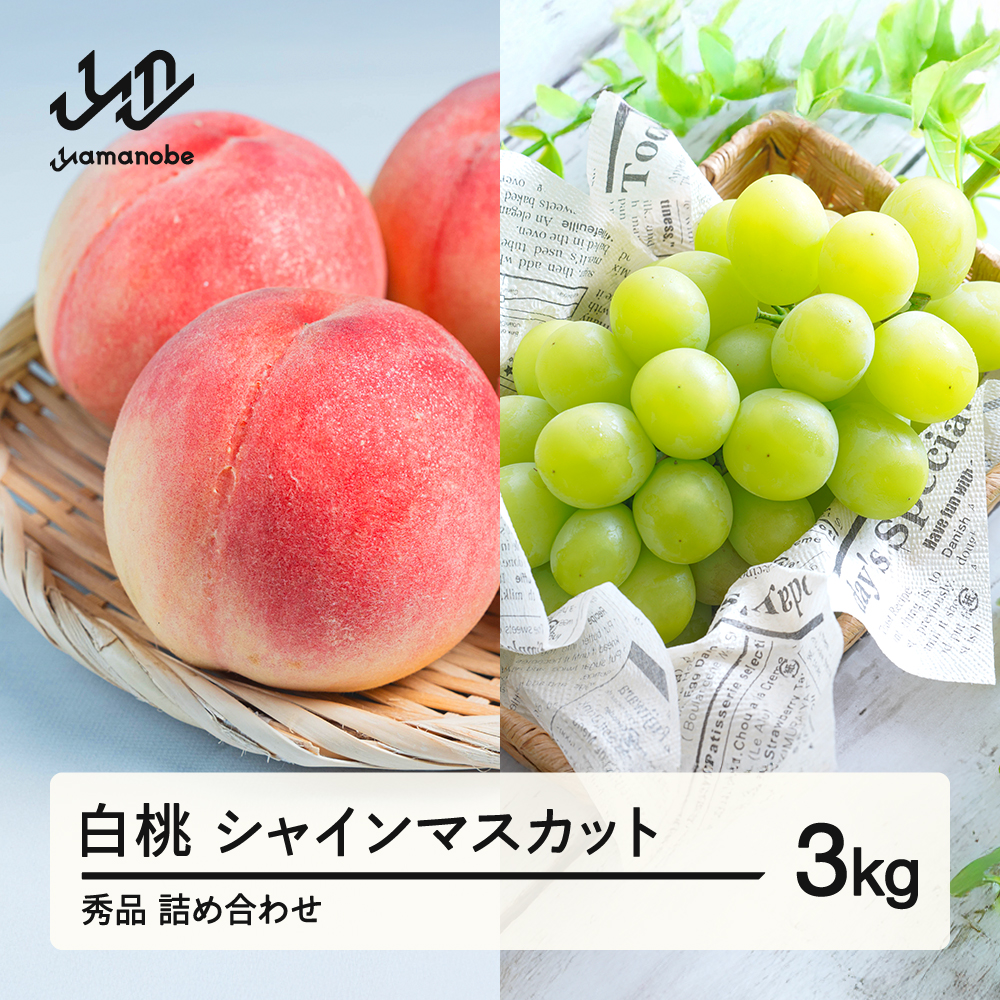 《先行予約》シャインマスカット 秀品 & 白桃 詰め合わせ 3kg 令和8年産 2026年産 果物 桃 白桃 ※沖縄・離島への配送不可 ns-fshsx3