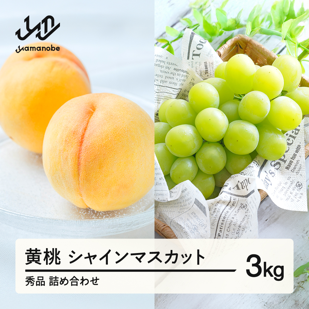 《先行予約》シャインマスカット 秀品 & 有袋黄桃 詰め合わせ 3kg 令和8年産 2026年産 果物 桃 白桃 ※沖縄・離島への配送不可 ns-fsosx3