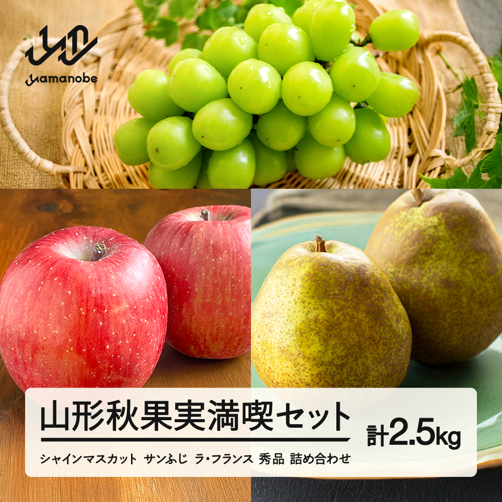 《先行予約》2026年 山形県産 山形秋果実満喫セット シャインマスカット サンふじ ラ・フランス 秀品 詰め合わせ 2.5kg 化粧箱入り 令和8年産 ※沖縄・離島への配送不可 ns-fsrls2500