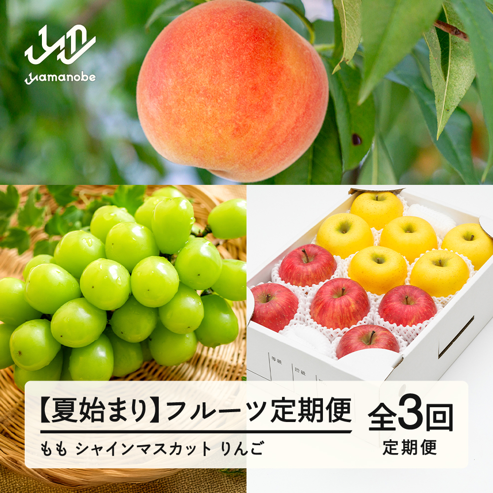 【先行予約】【夏始まり】フルーツ定期便 全3回 2026産 令和8年産 白桃 ぶどう シャインマスカット りんご サンふじ シナノゴールド 果物 送料無料 ns-ft3xx-sm ※沖縄及び離島への配送不可
