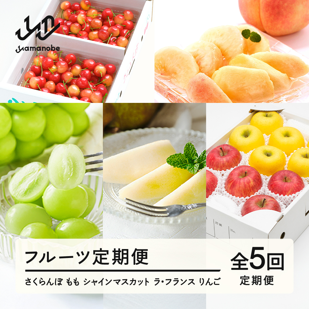 【先行予約】【春始まり】フルーツ定期便 全5回 2026産 令和8年産 さくらんぼ 佐藤錦 白桃 ぶどう シャインマスカット ラフランス ラ・フランス りんご サンふじ シナノゴールド 果物 送料無料 ns-ft5xx-sp ※沖縄及び離島への配送不可