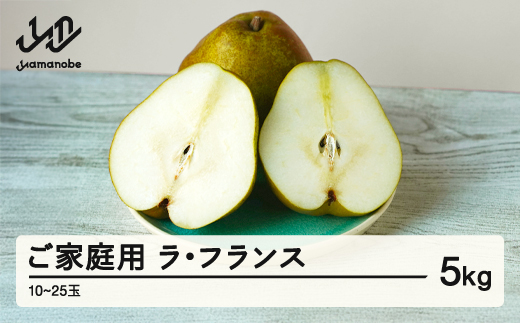 【先行予約】ラ・フランス ご家庭用 5kg 令和8年産 2026年産 西洋梨 山形県産 果物 送料無料 ※沖縄・離島への配送不可 ns-laxxw5