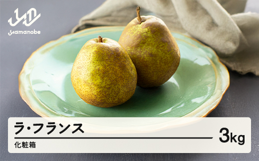 【先行予約】ラ・フランス 化粧箱 3kg 令和8年産 2026年産 山形県産 ラフランス 果物 ※沖縄・離島への配送不可 ns-laxxx3