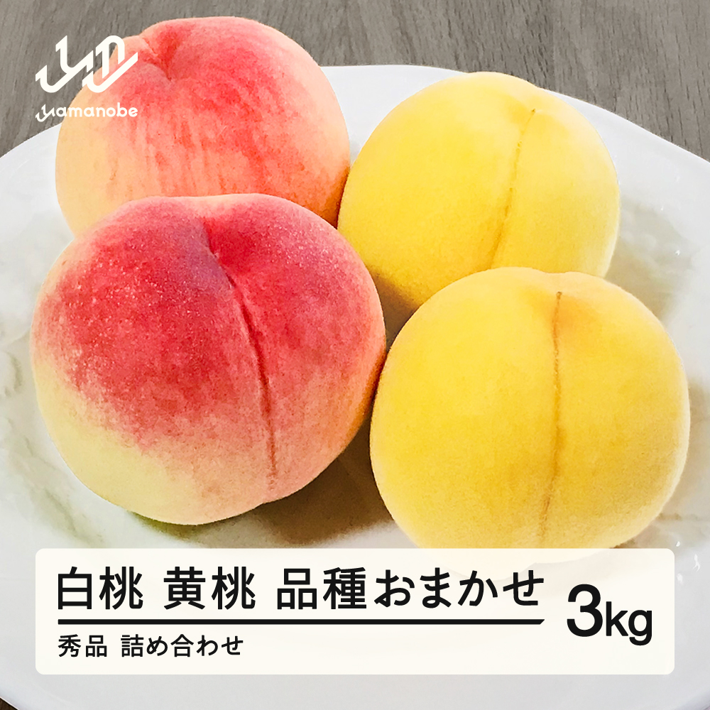 《先行予約》白桃＆有袋黄桃 秀品 品種おまかせ 化粧箱入り 約3kg 令和八年産 2026年産 山形県産 果物 ※沖縄・離島への配送不可 ns-mohot3