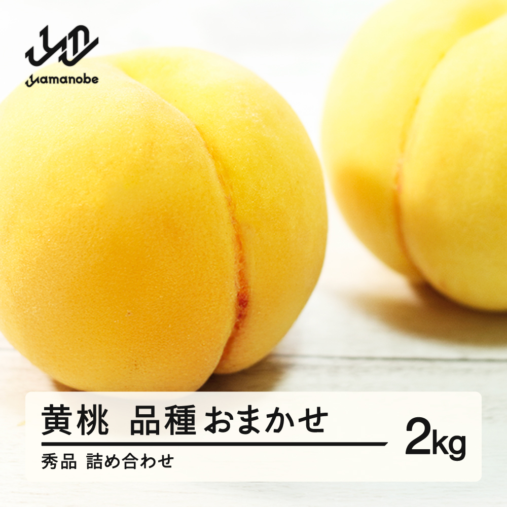 《先行予約》有袋黄桃 秀品 品種おまかせ 化粧箱入り 約2kg 令和8年産 2026年産 山形県産 果物 ※沖縄・離島への配送不可 ns-mootx2