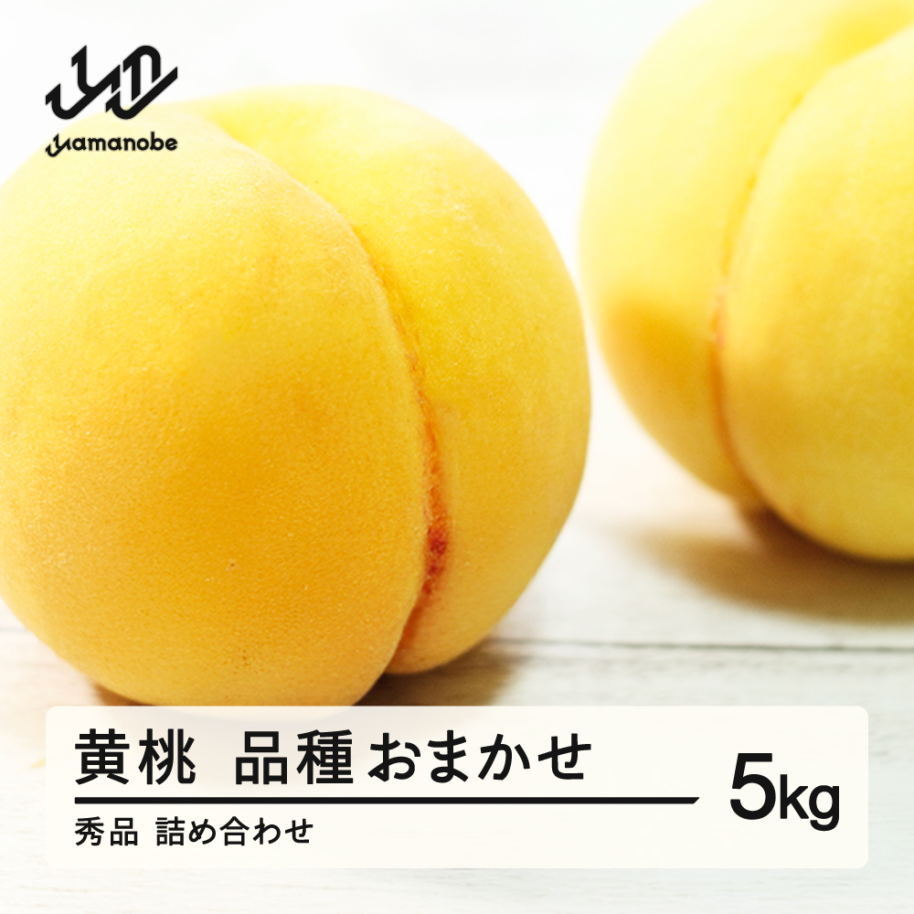 《先行予約》有袋黄桃 秀品 品種おまかせ 化粧箱入り 約5kg 令和8年産 2026年産 山形県産 果物 ※沖縄・離島への配送不可 ns-mootx5