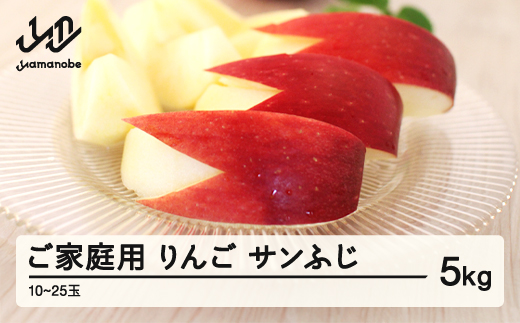 【先行予約】サンふじ ご家庭用 5kg 令和8年産 2026年産 りんご サンふじ 山形県産 果物 送料無料 ※沖縄・離島への配送不可 ns-risfw5