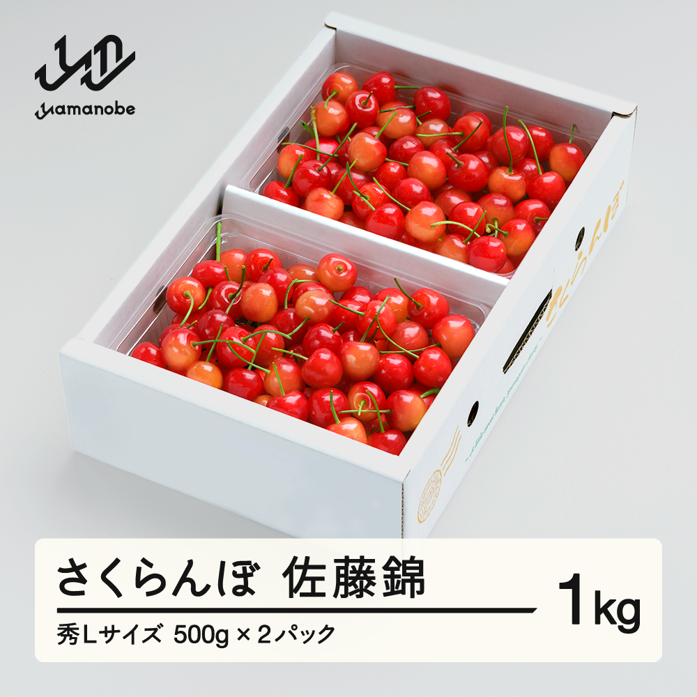 《先行予約》 さくらんぼ 佐藤錦 秀Lサイズ プレゼント ギフト バラ詰め 1kg(500g×2パック) 2026年産 令和8年産 山形県産 ns-snslb1
