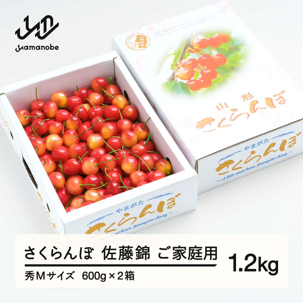 《先行予約》 さくらんぼ 佐藤錦 秀Mサイズ ご家庭用 バラ詰め 1.2kg(600g×2箱) 2026年産 令和8年産 山形県産 ns-snsmb1200