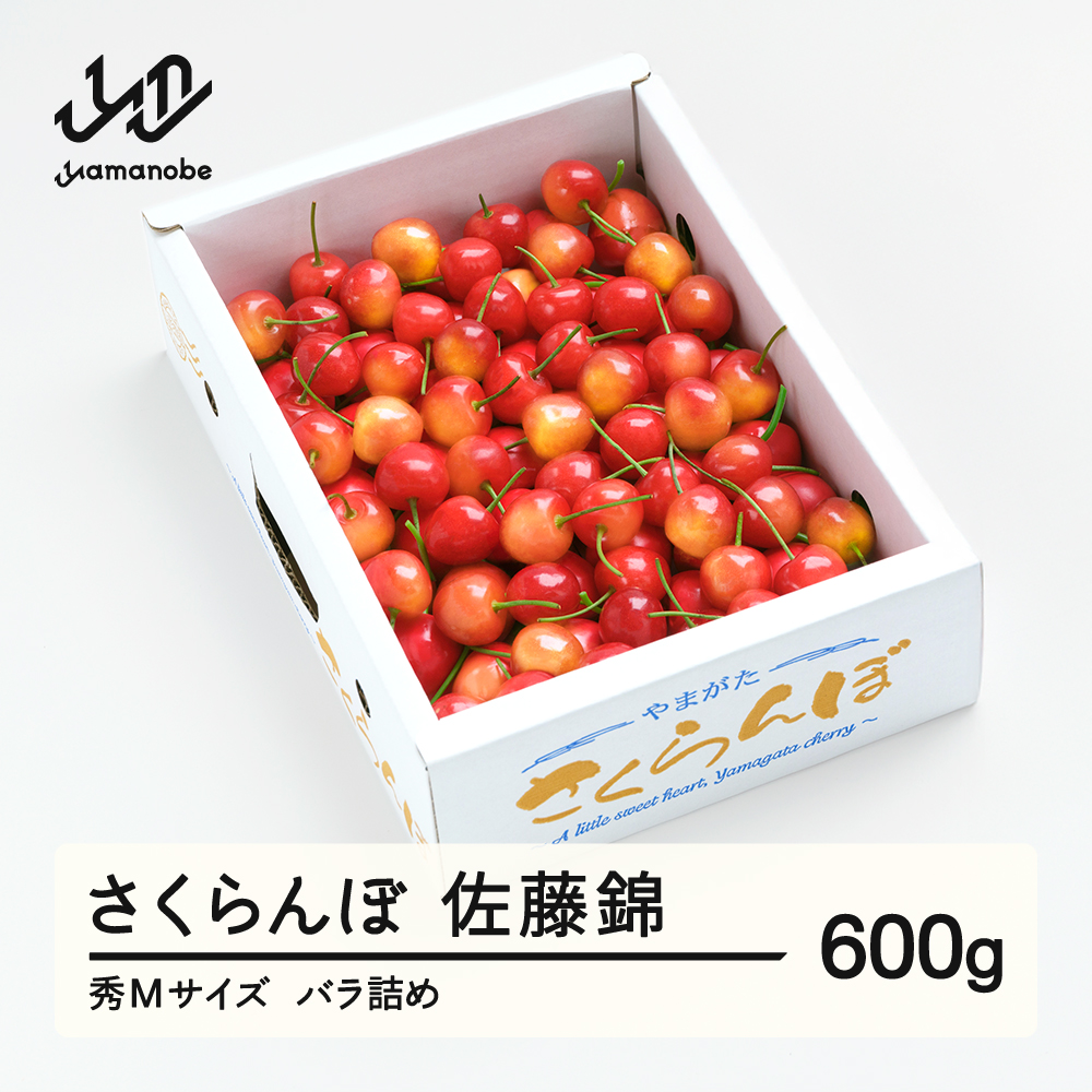 《先行予約》 さくらんぼ 佐藤錦 秀Mサイズ バラ詰め 600g (600g×1箱) 2026年産 令和8年産 山形県産 ふるさと納税 果物 くだもの フルーツ 特産 産地 直送 送料無料 東北 山形県産 ns-snsmb600