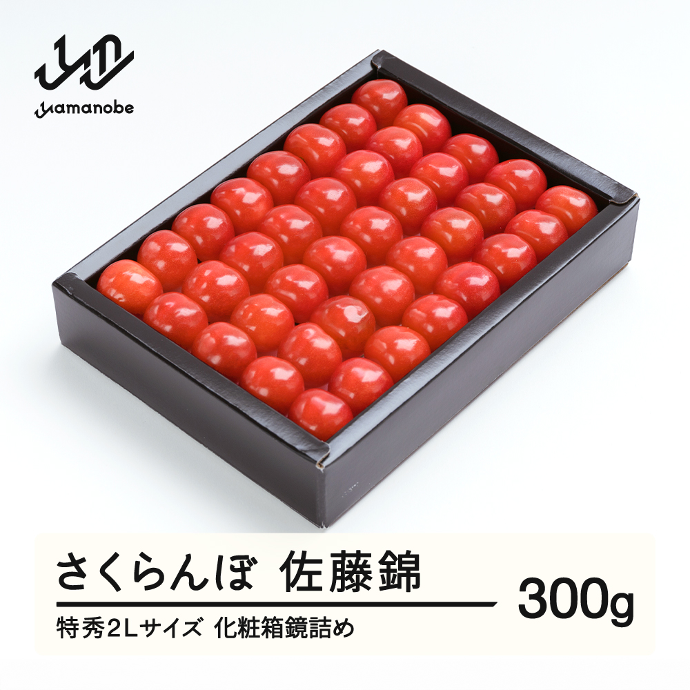 《先行予約》 さくらんぼ 佐藤錦 特秀2Lサイズ プレゼント ギフト 化粧箱入 300g 2026年産 令和8年産 山形県産 ns-snt2x300