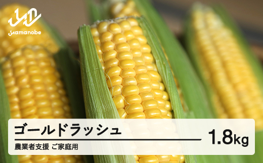 《先行予約》2026年 山形県産 農業者支援 ご家庭用 ゴールドラッシュ 1.8kg とうもろこし トウモロコシ コーン 夏 野菜 やさい ※沖縄・離島への配送不可 送料無料 ot-cngwx1800
