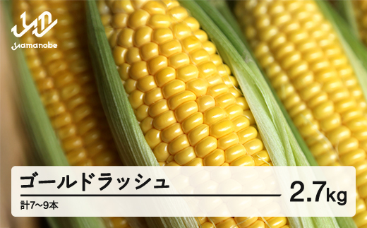 《先行予約》2026年 山形県産 ゴールドラッシュ 2.7kg(7-9本）とうもろこし トウモロコシ コーン 夏 野菜 やさい ※沖縄・離島への配送不可 送料無料 ot-cngxx2700