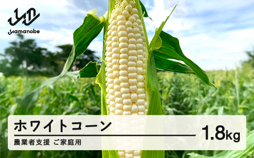 ≪先行予約≫ 農業者支援 ご家庭用 2026年 山形県産 ホワイトコーン 1.8kg 生で味わう 白とうもろこし トウモロコシ コーン 夏 野菜 やさい ※沖縄・離島への配送不可 ot-cnwwx2