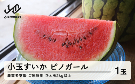 ≪先行予約≫ 農業者支援 ご家庭用 2026年 山形県産 小玉スイカ ピノガール 1玉(2kg以上) すいか スイカ 西瓜 果物 野菜 訳あり ot-supgx1