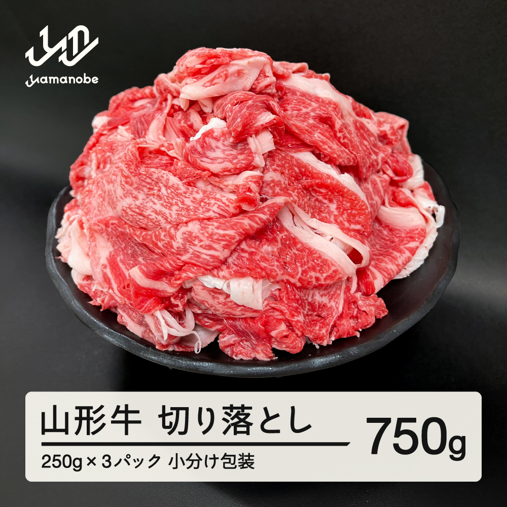 山形牛 切り落とし 750g 部位お任せ 形不揃い 牛肉 高橋畜産 ※沖縄・離島への配送不可 tc-gnxox750