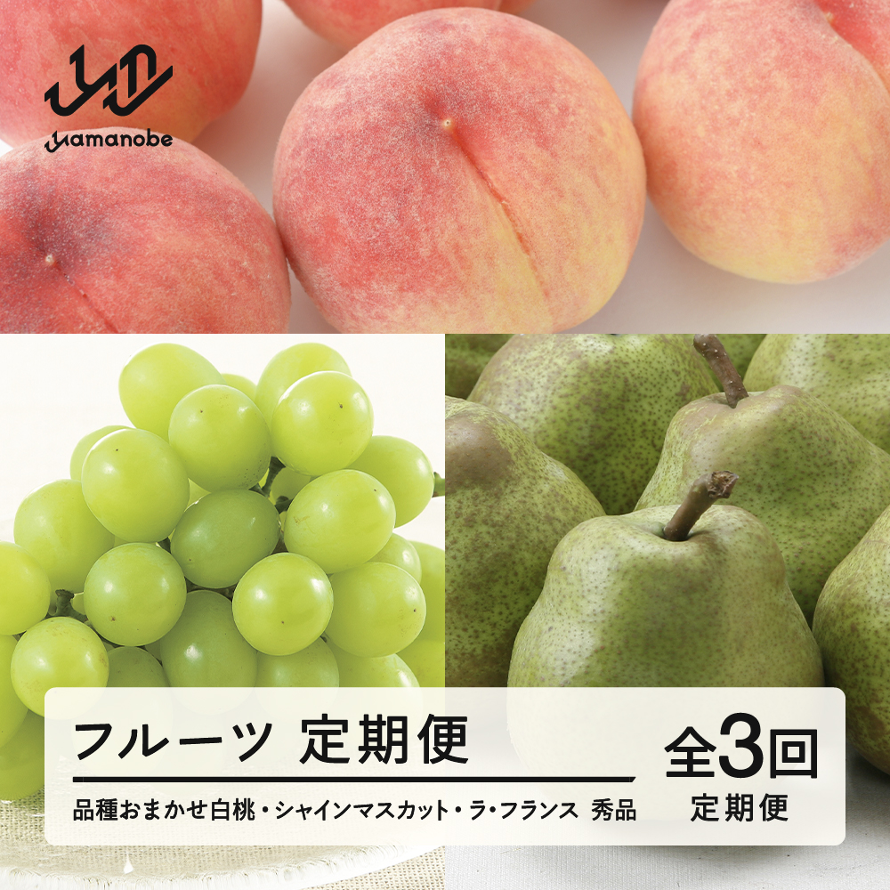 【先行予約】【定期便】フルーツ定期便 全3回 白桃 ブドウ ぶどう 葡萄 シャインマスカット ラフランス ラ・フランス tf-ft3hbl