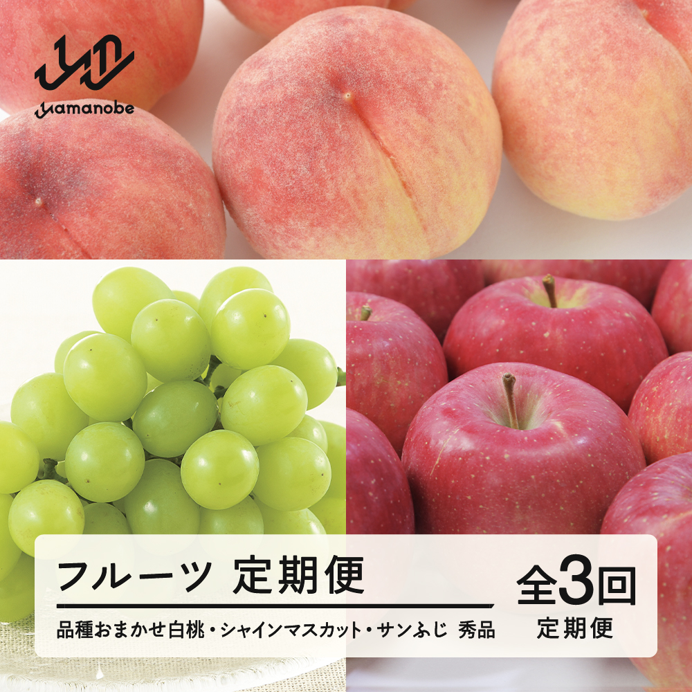 【先行予約】【定期便】フルーツ定期便 全3回 白桃 葡萄 ブドウ ぶどう シャインマスカット 林檎 りんご サンふじ tf-ft3hbr