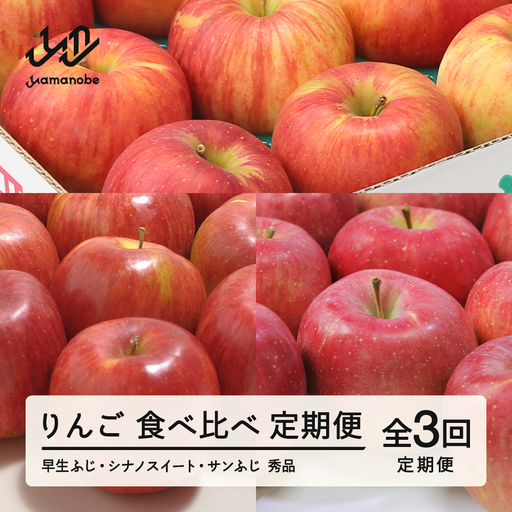 【先行予約】【定期便】りんご 食べ比べ 定期便 2026年産 令和8年産 全3回 林檎 リンゴ 早生ふじ シナノスイート サンふじ フルーツ 果物 tf-ft3ri