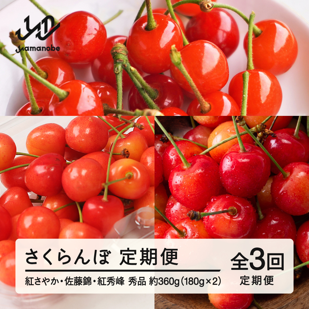 【先行予約】【定期便】2026年産 さくらんぼ 定期便 全3回 紅さやか 佐藤錦 紅秀峰 サクランボ tf-ft3sa