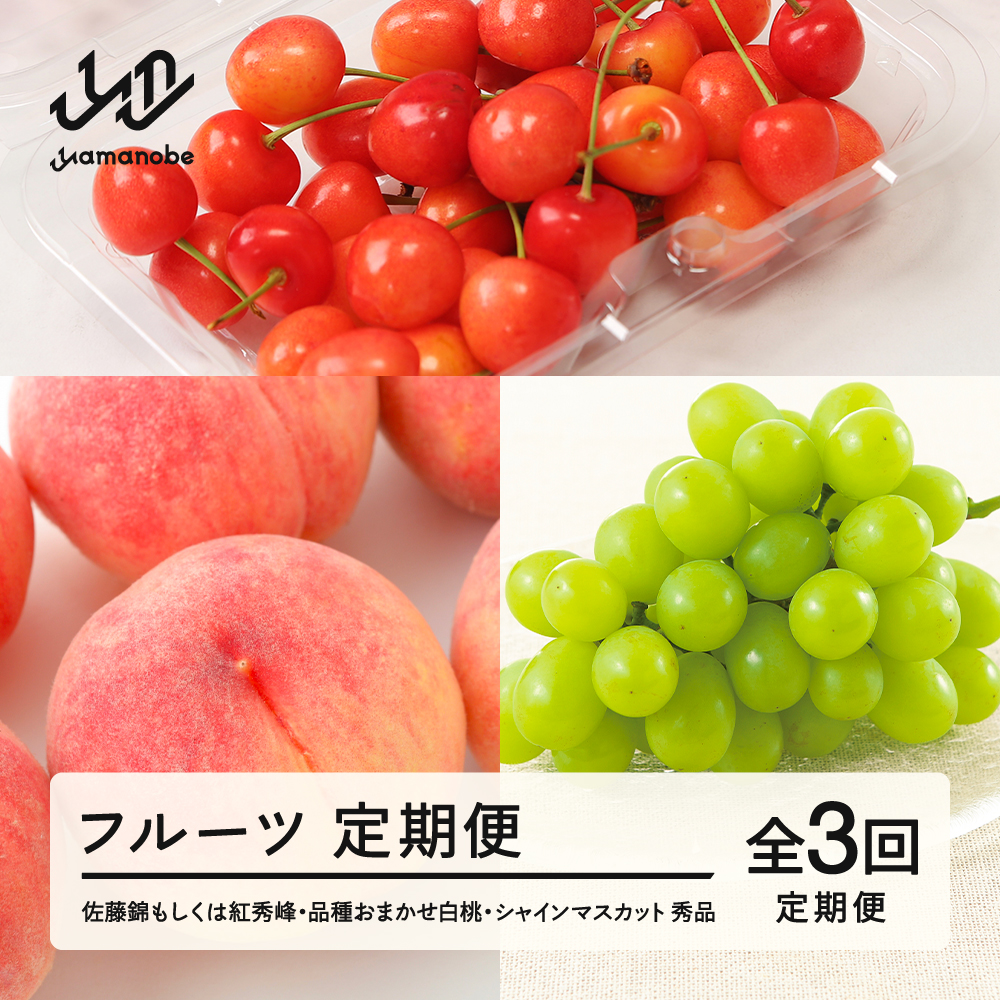 【先行予約】【フルーツ定期便】フルーツ定期便 全3回 さくらんぼ 白桃 葡萄 ぶどう ブドウ シャインマスカット tf-ft3shb ※沖縄・離島への配送不可