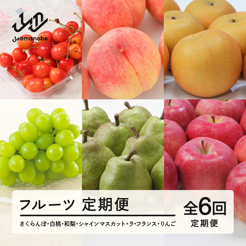 【先行予約】【フルーツ定期便】2026年産 さくらんぼ・白桃・和梨・シャインマスカット・ラ・フランス・りんご 全6回 tf-ft6xxx