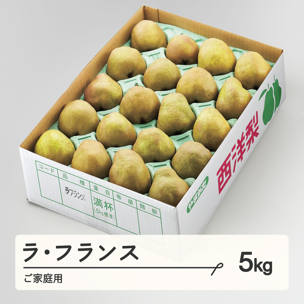 【先行予約】ラ・フランス ご家庭用 約5kg(8~20個程度) 洋梨 2026年産 山形県産 ※沖縄・離島への配送不可 tf-lamxx5