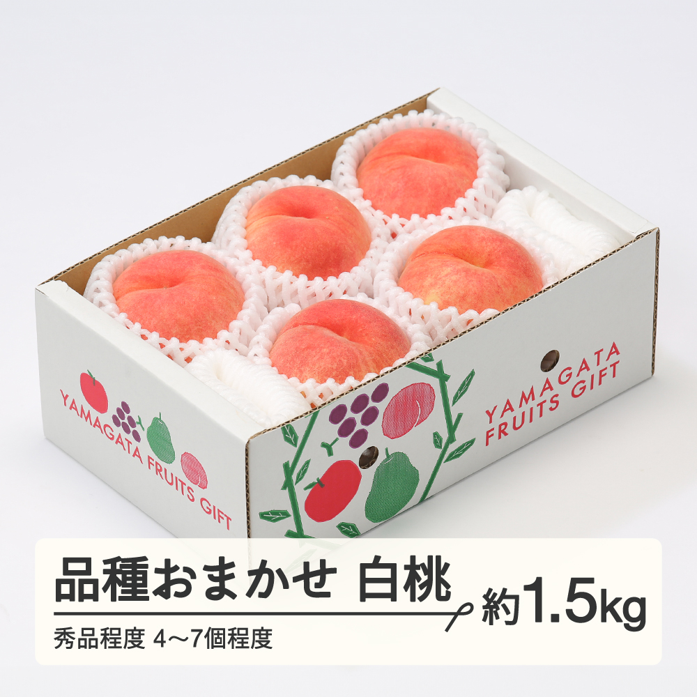 【先行予約】もも 桃 品種おまかせ 白桃 秀品程度 約1.5kg(4~7個程度) 2026年産 山形県産 ※沖縄・離島への配送不可 tf-moyws1500