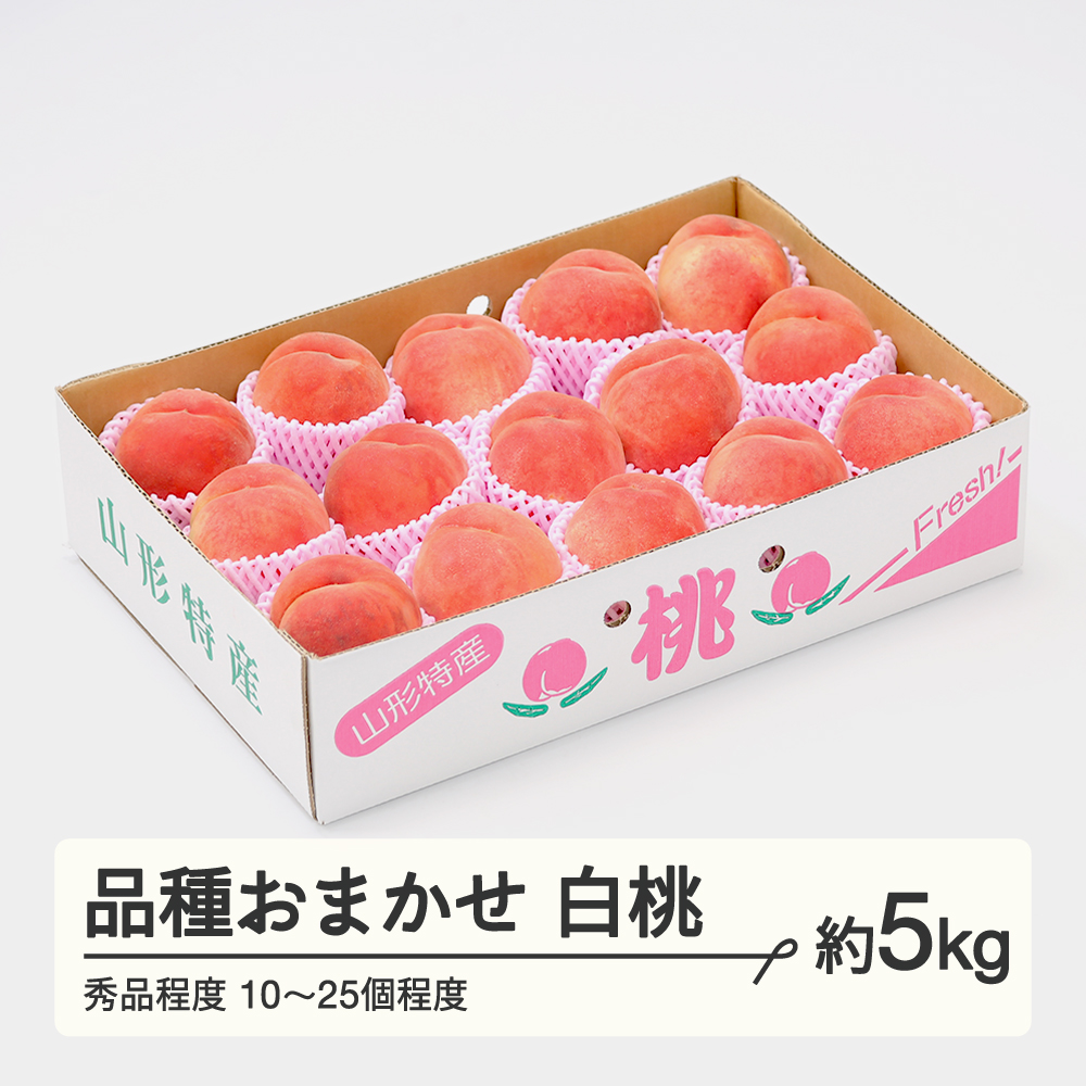 【先行予約】もも 桃 品種おまかせ 白桃 秀品程度 約5kg(10~25個程度) 2026年産 山形県産 ※沖縄・離島への配送不可 tf-moyws5