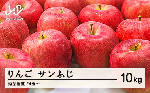 【先行予約】りんご サンふじ 秀品程度 約10kg(24~50玉) 2026年産 山形県産 甘い シャキシャキ 食感 リンゴ 林檎 フルーツ 果物 果樹 ※沖縄・離島への配送不可