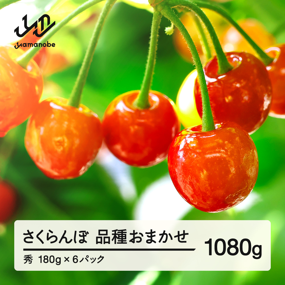 【先行予約】さくらんぼ 品種おまかせ 秀品 約1080g 令和8年産 2026年産 山形県産 フルーツ 果物 tf-saos1080