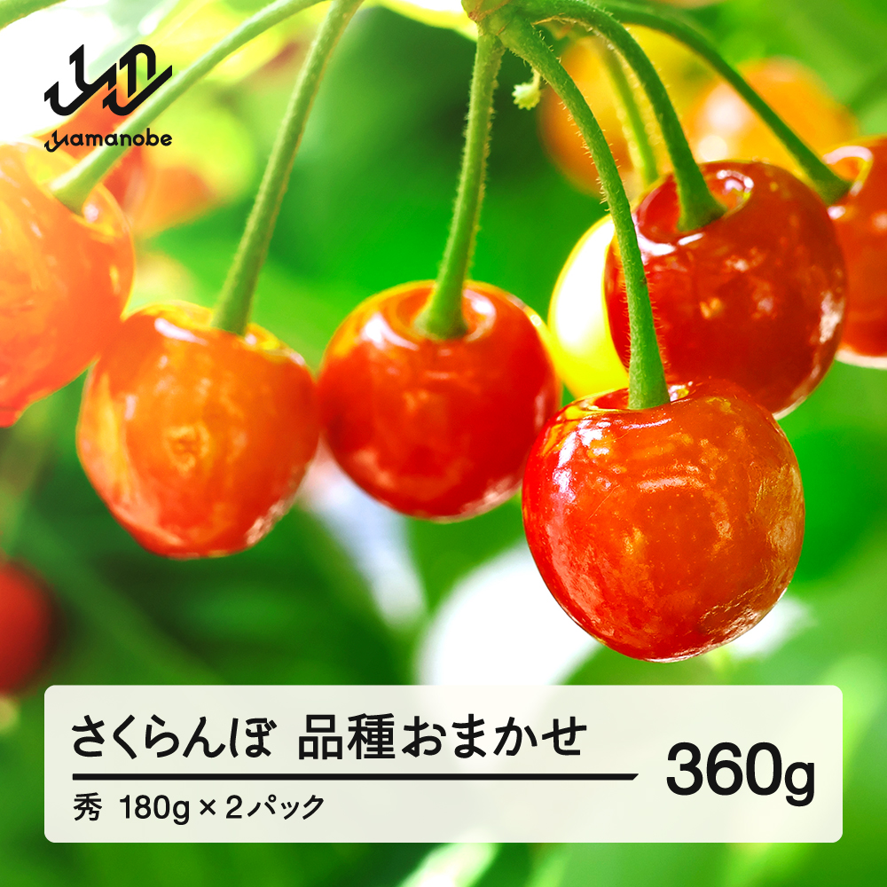 【先行予約】 さくらんぼ 品種おまかせ 秀品 約360g 令和8年産 2026年産 山形県産 フルーツ 果物 tf-saos360