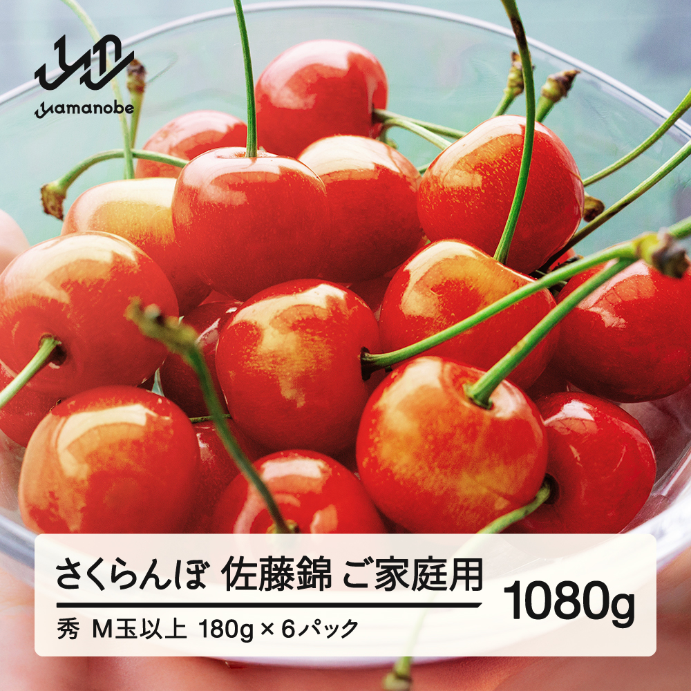 【先行予約】 ご家庭用 さくらんぼ 佐藤錦 秀品 M玉以上 約1080g 令和8年産 2026年産 山形県産 フルーツ 果物 tf-snpsm1080