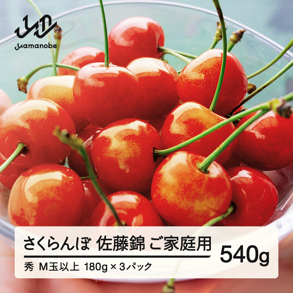 【先行予約】 ご家庭用 さくらんぼ 佐藤錦 秀品 M玉以上 約540g 令和8年産 2026年産 山形県産 フルーツ 果物 tf-snpsm540