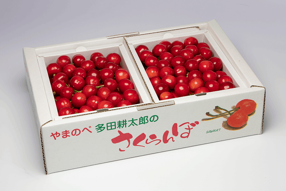 《先行予約》2024年 山形県産 紅さやか バラ詰め(パック）1kg M～L やまのべ多田耕太郎のさくらんぼ サクランボ F20A-037