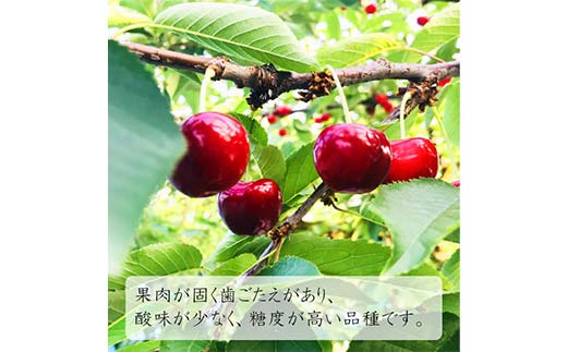 《2026年先行予約》山形県中山町産さくらんぼ《紅秀峰特秀品》 700g 2Lサイズ以上 数量限定 山形県産 サクランボ フルーツ 果物 F4A-0102