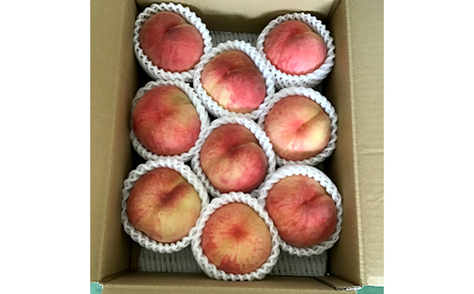 【2026年先行予約】山形県中山町産白桃 約3kg(6玉～12玉) 期間限定 数量限定 山形県産 フルーツ くだもの 果物 もも モモ F4A-0107