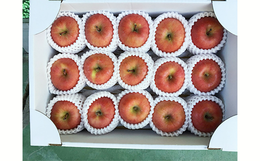 《令和8年産先行受付》山形県中山町産蜜入りんご高徳・こうとく【秀品】約3kg リンゴ 林檎 山形県産 フルーツ 果物 くだもの F4A-0315