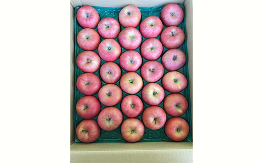 《令和8年産先行受付》山形県中山町産蜜入りんご高徳・こうとく【秀品】約5kg リンゴ 林檎 山形県産 フルーツ 果物 くだもの F4A-0316