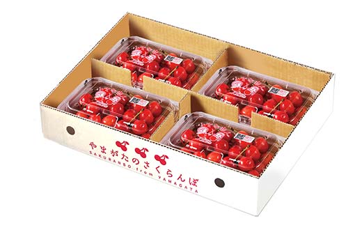 《先行予約》2026年度発送 山形県産 さくらんぼ 佐藤錦 秀品 720g F4A-0404