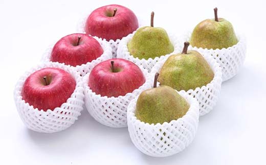 2026年先行予約 どちらも食べたい！ 山形県産 ラ・フランスとサンふじりんご セット 約3kg（7～13玉） フルーツ 果物 くだもの 山形県 中山町 F4A-0439