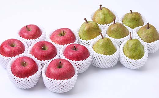 2025年先行予約 どちらも食べたい！ 山形県産 ラ・フランスとサンふじりんご セット 約5kg（13～20玉） フルーツ 果物 くだもの 山形県 中山町 F4A-0440