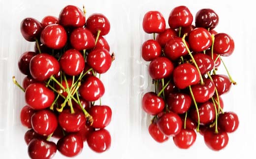 『2026年産先行受付』山形県産さくらんぼ＜紅さやか秀品＞約800g Lサイズ以上 200g×4P サクランボ 果物くだもの フルーツ 季節限定 F4A-0453