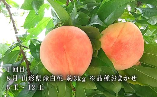 《2026年8月発送開始》山形県 至高のフルーツ！山形県秀逸フルーツ定期便 全3回 F4A-0455